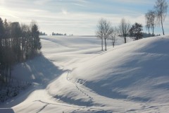 DSCN2115