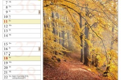 Kalender202211