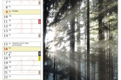 Kalender202212