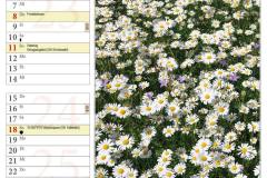Kalender20238