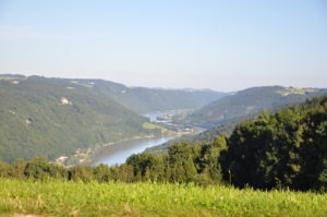 DSC 0004 e1581068208900