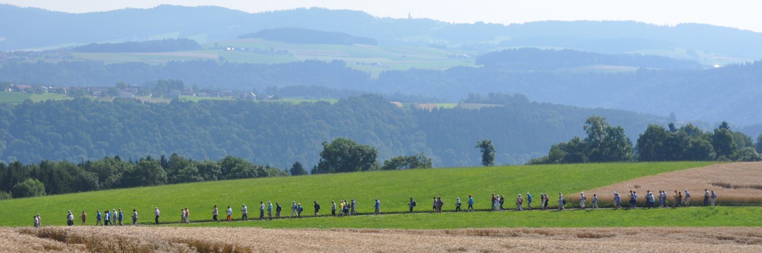 Permalink auf:Wandern