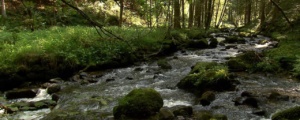 koesslbachtal