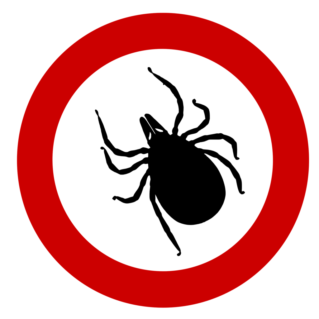 tick 1465065 1920