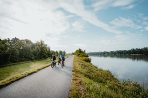 Radtour am Donauradweg Feldkirchen © WGD Donau Oberoesterreich Tourismus GmbH CM Visuals 2 scaled