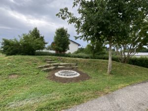 IMG 3320