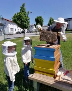 1658469080.0817 bienenprojekt Bienenstock Imkervereinjpg