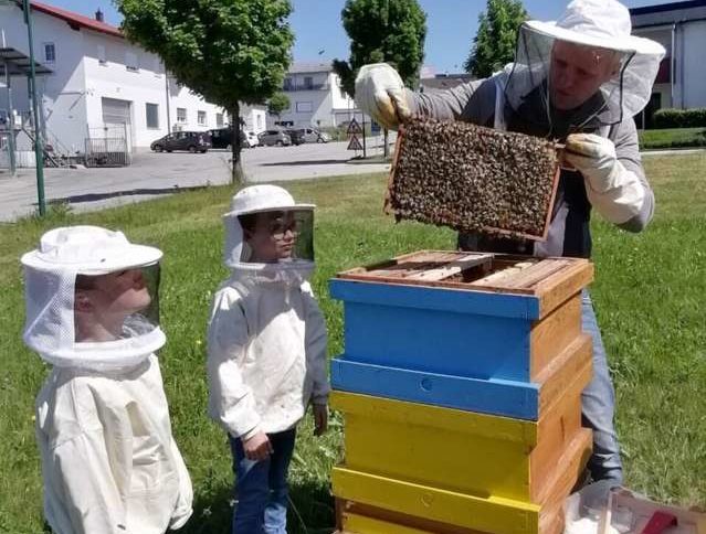1658469080.0817 bienenprojekt Bienenstock Imkervereinjpg
