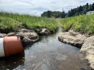 Auslauf Moserbach