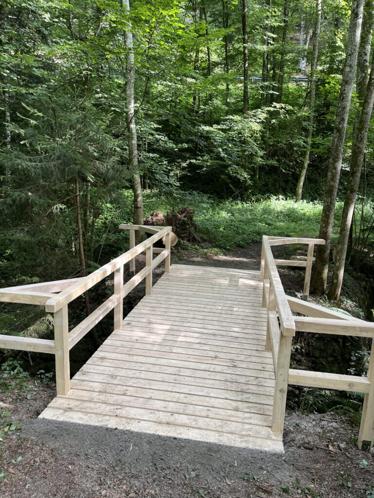 foto (4)