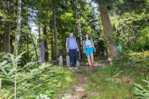 © WGD Donau Oberösterreich Tourismus GmbH | Weissenbrunner