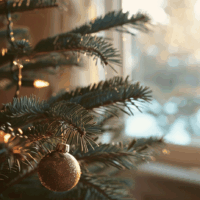 u3238838667 close up of a real christmas tree in a living roo a05783be e428 4d7b b15d b71677e04438 0