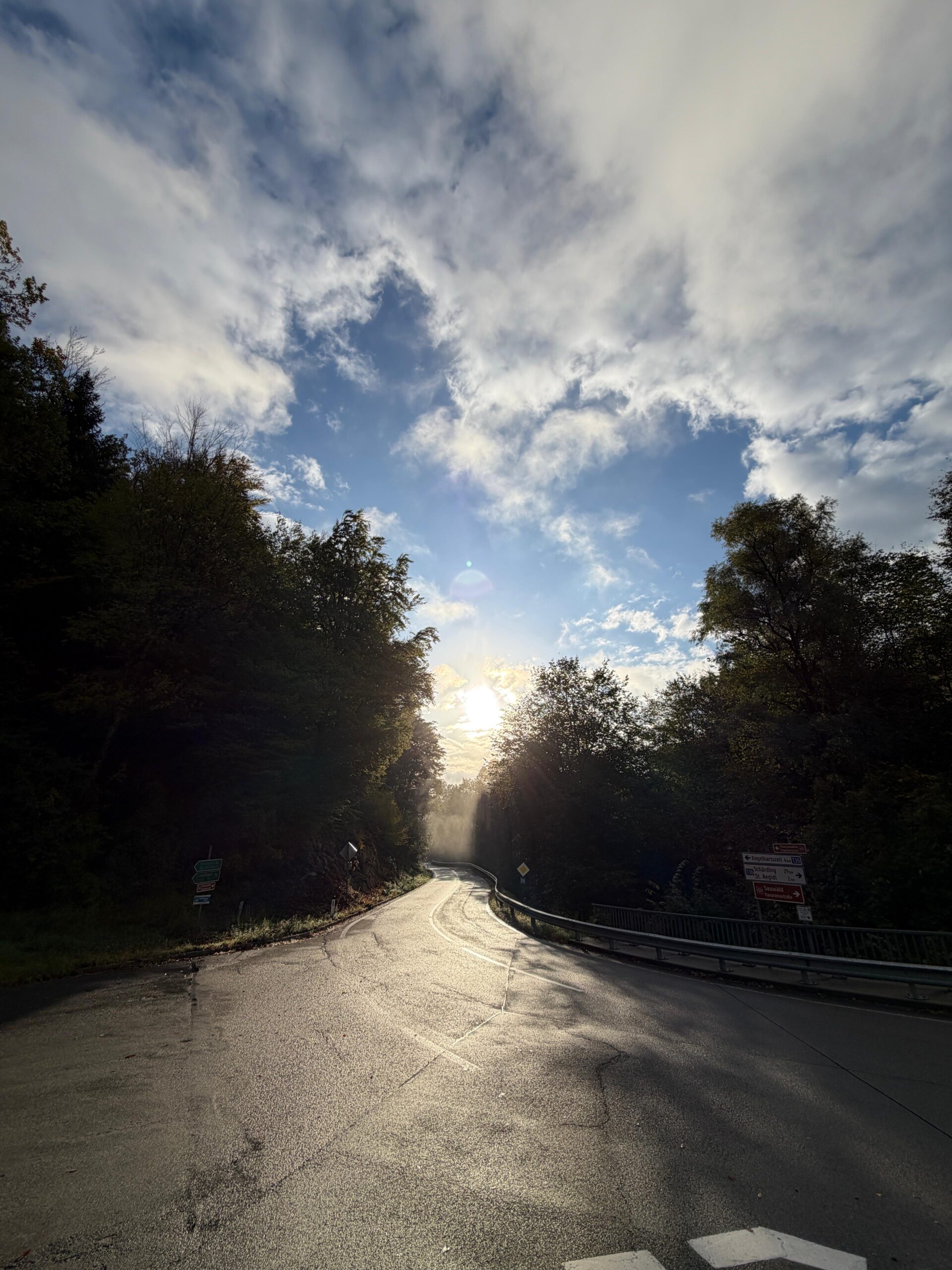 Straße im Wald bei Gegenlicht mit Wegweiser nach St. Aegidi und zur Sauwald Panoramastraße